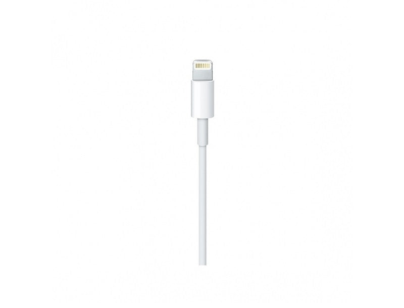 APPLE Lightning auf USB-C Kabel 2m