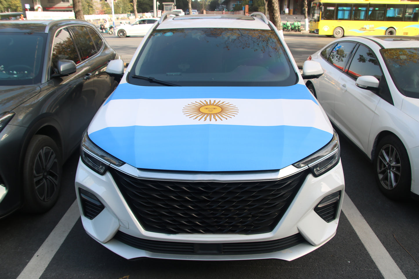 Argentina flag car hood cover