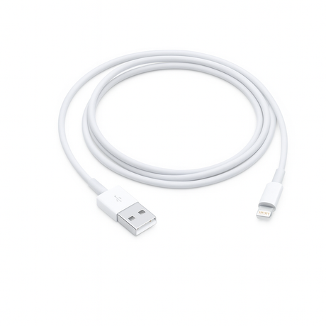 Câble Apple Lightning vers USB 1 m