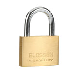 Cadenas en laiton avec 3 clés – vue 4