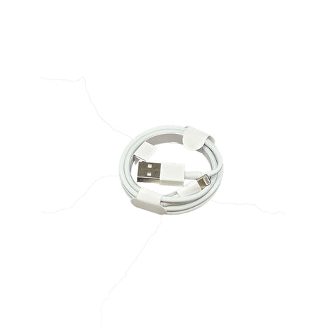 Câble USB vers Lightning pour iPhone 1 m – vue 2