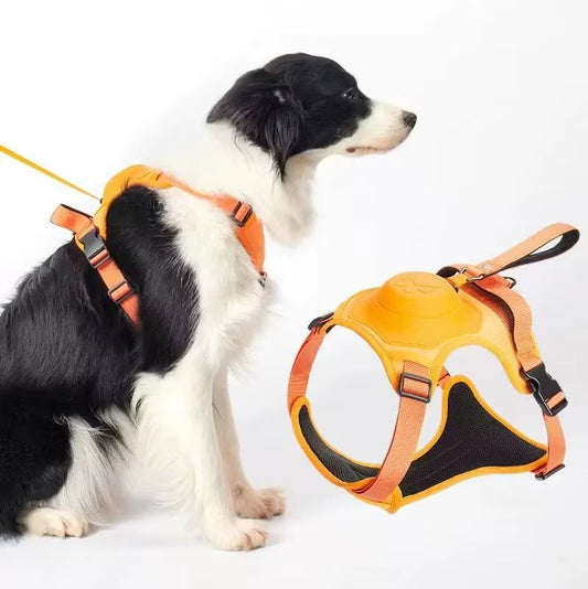 Hundegeschirr mit integrierter Rollleine